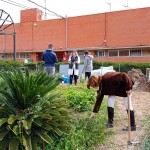 acción con aula abierta